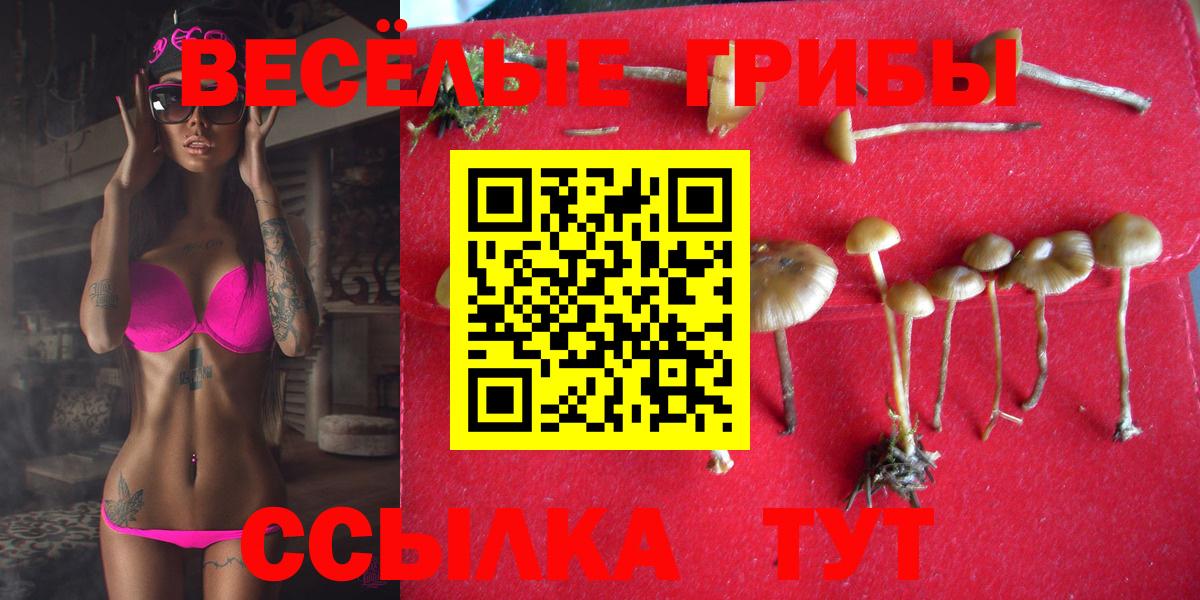 Псилоцибиновые грибы ЛСД Снежинск