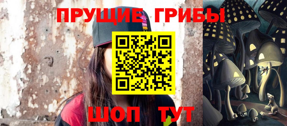 Псилоцибиновые грибы Psilocybine cubensis  Вход с VPN  Снежинск 